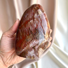 Load image into Gallery viewer, Petrified Wood Form
