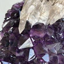 Load image into Gallery viewer, Amethyst Cluster XL, on a stand
