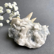 Load image into Gallery viewer, Chalcedony Druzy with Dog Tooth Calcite
