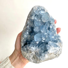 Load image into Gallery viewer, Celestite Cluster XXL
