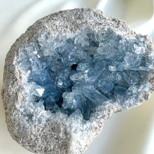 Load image into Gallery viewer, Celestite Geode  XL
