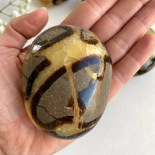 Load image into Gallery viewer, Septarian Jumbo Stone

